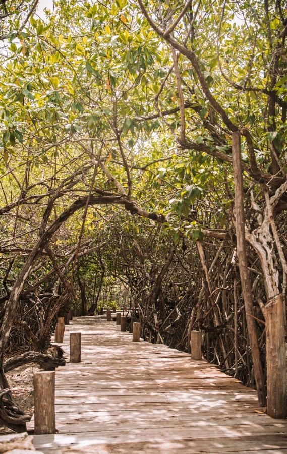 Отель Uman Glamping & Cenote Тулум Экстерьер фото