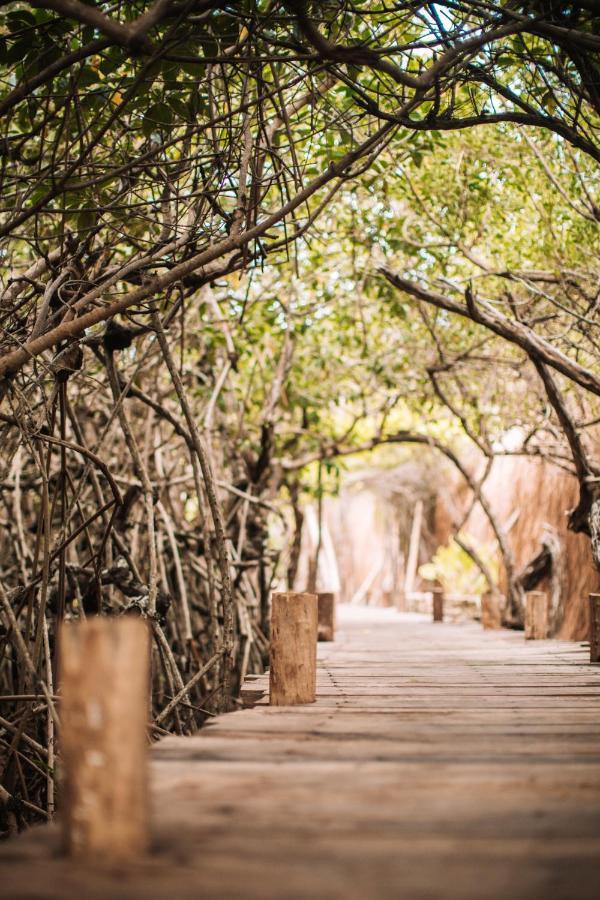 Отель Uman Glamping & Cenote Тулум Экстерьер фото