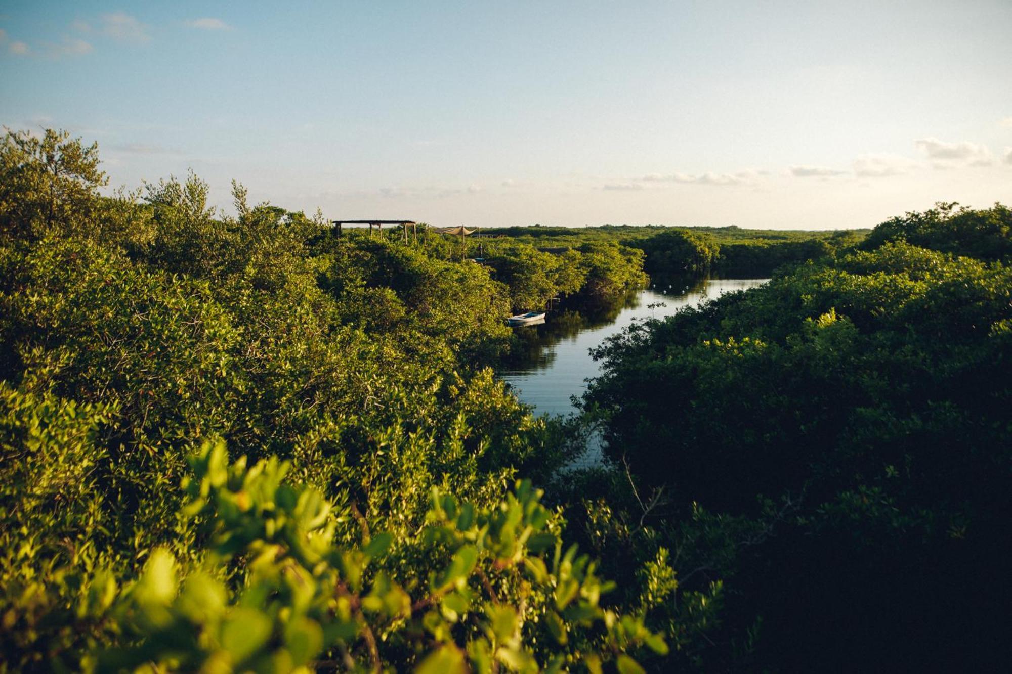 Отель Uman Glamping & Cenote Тулум Экстерьер фото